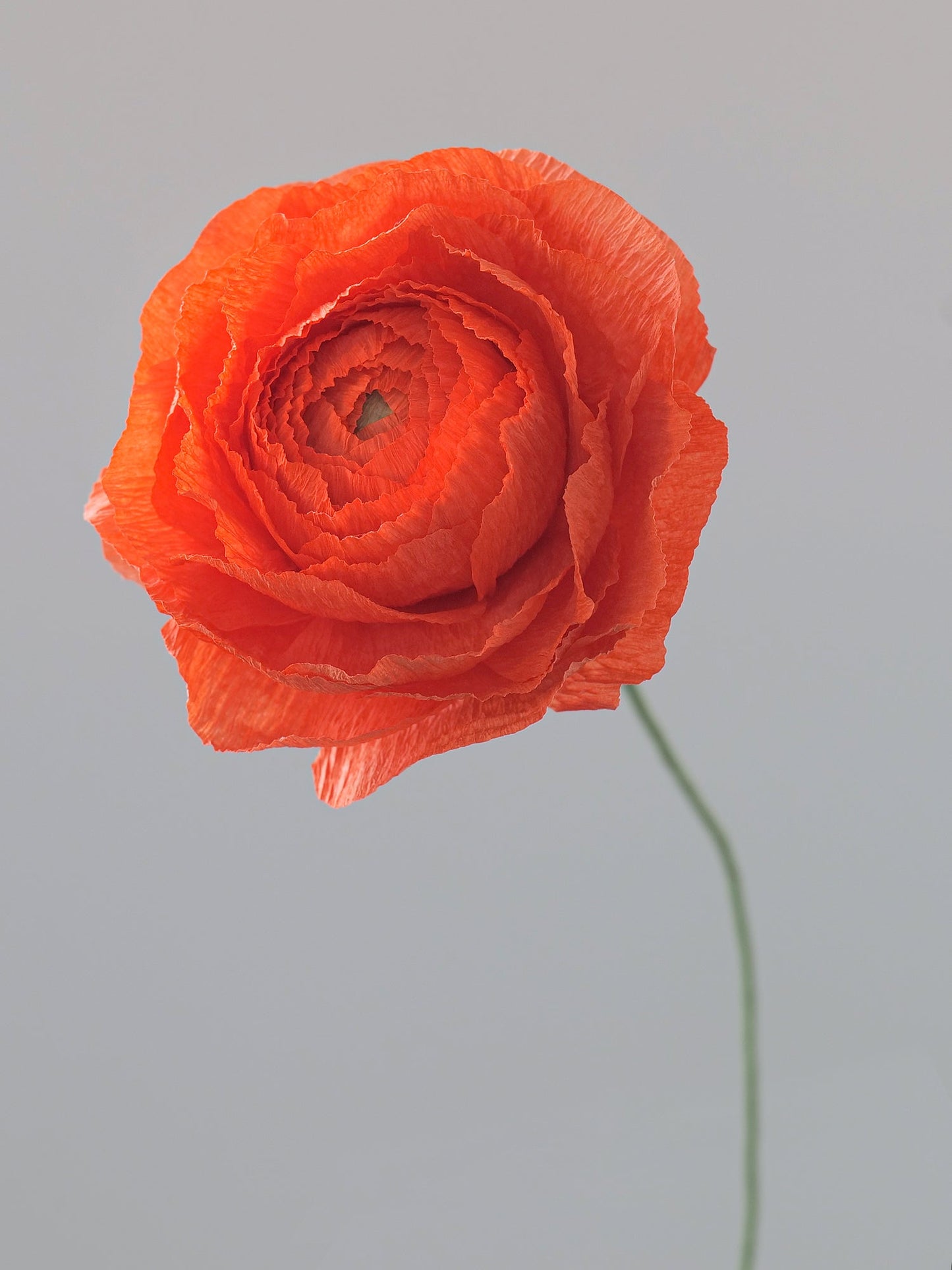 Ranunculus Single Stem | Paper Flower Decor
