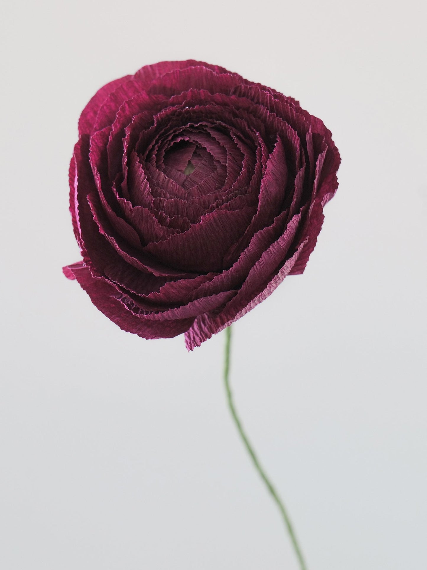 Ranunculus Single Stem | Paper Flower Decor