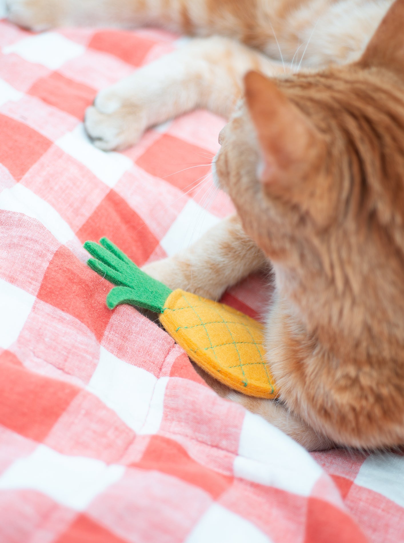 PINEAPPLE CATNIP TOY