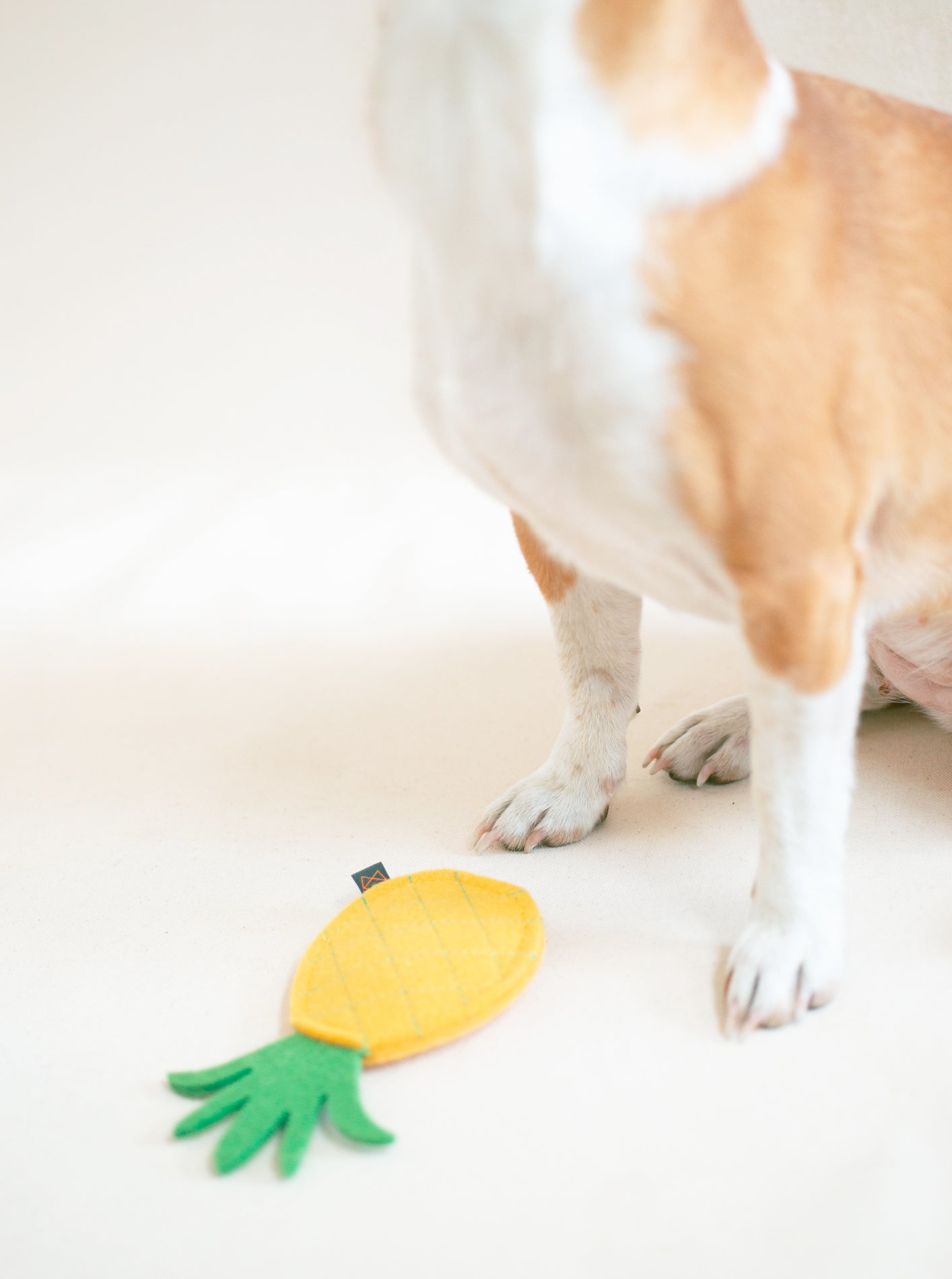 PINEAPPLE DOG SQUEAKER TOY