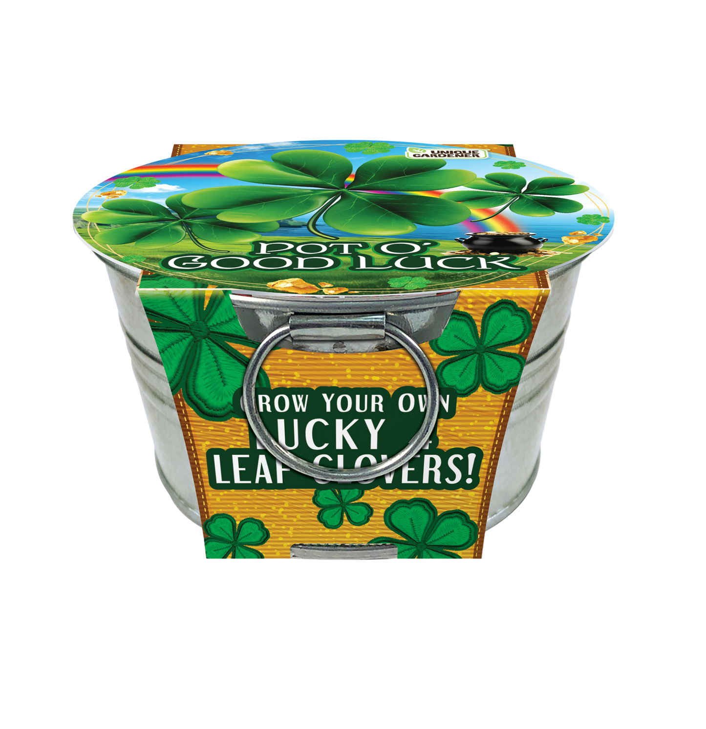 Pot O' Good Luck - Grow Your Own Shamrocks Multipack of 3
