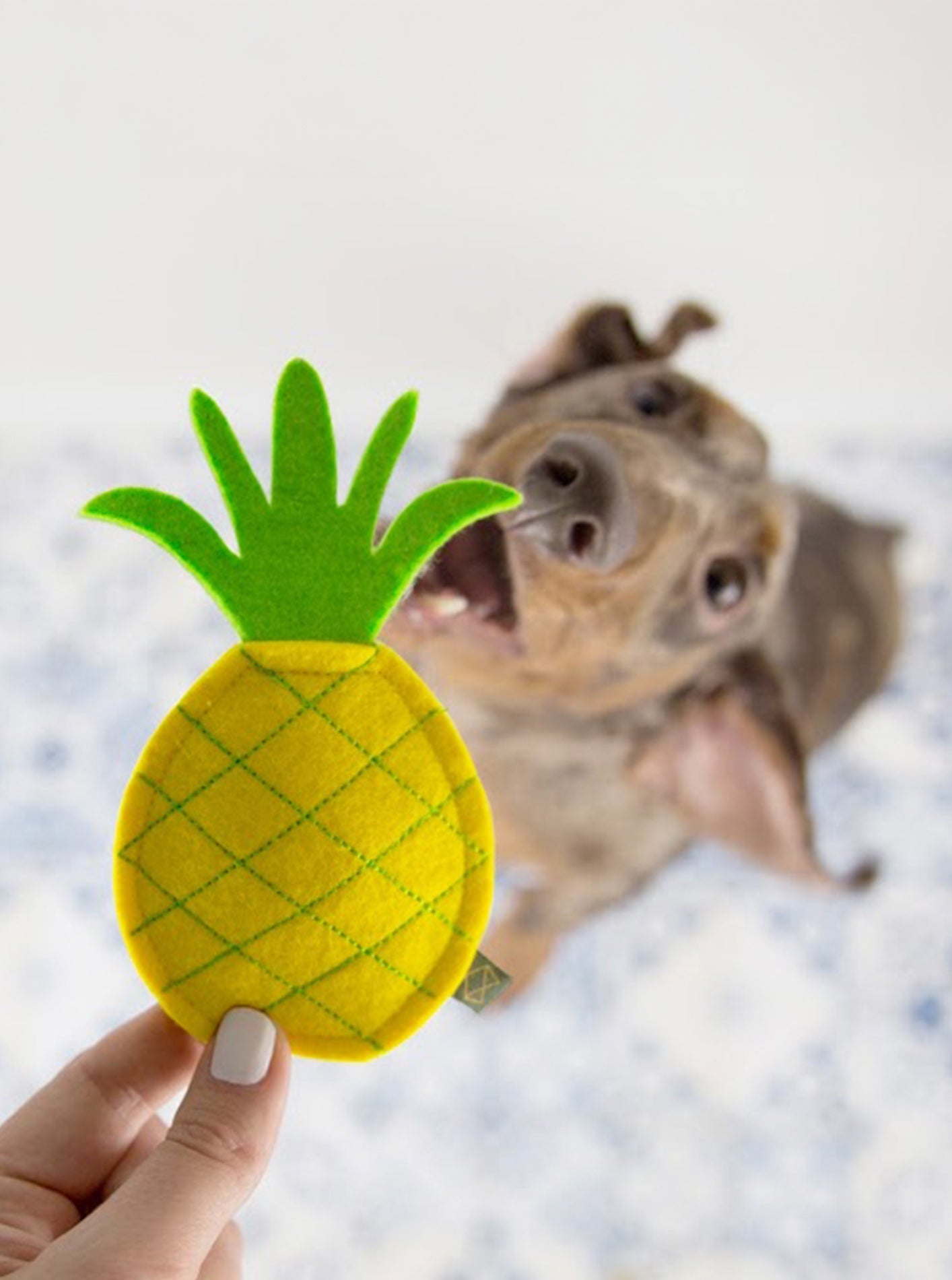 PINEAPPLE DOG SQUEAKER TOY