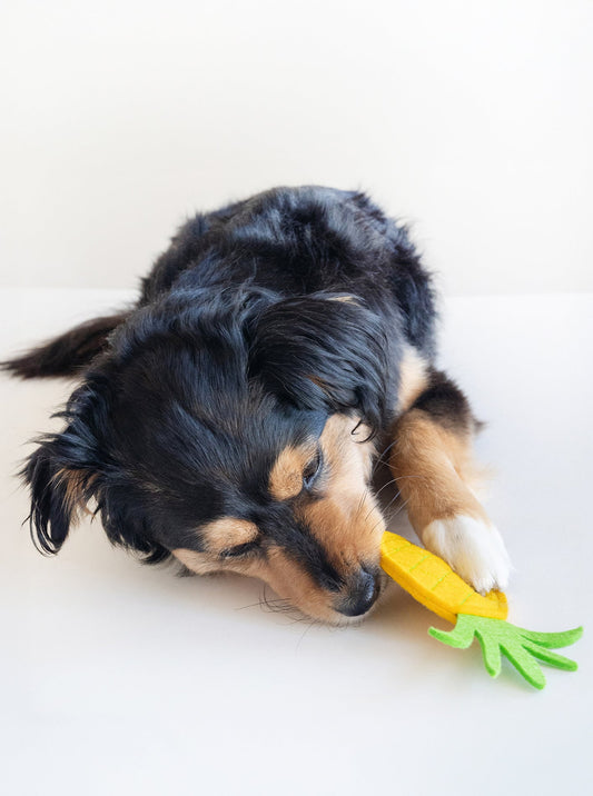 PINEAPPLE DOG SQUEAKER TOY