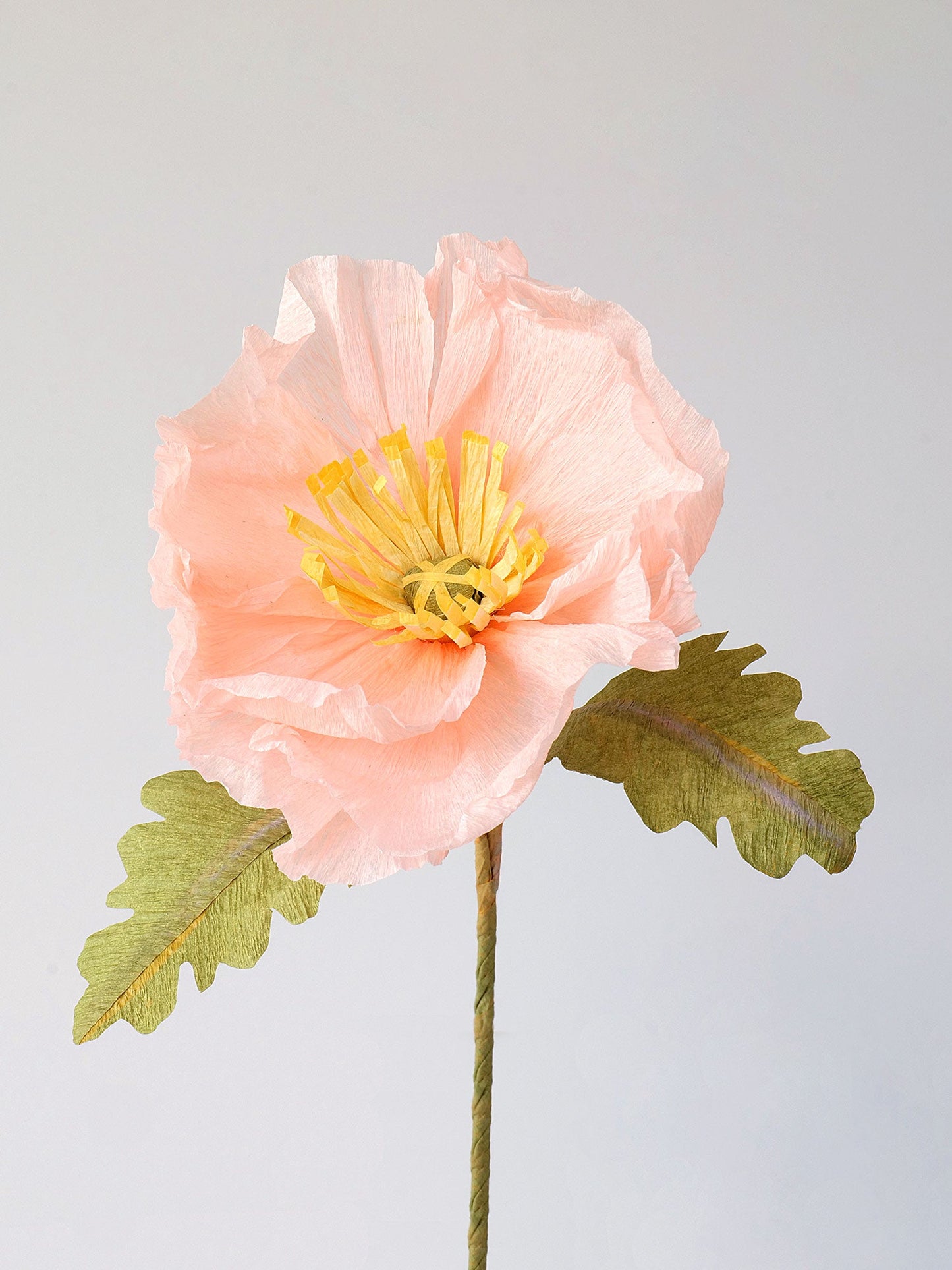 Icelandic Poppy Single Stem | Handcrafted Paper Flower