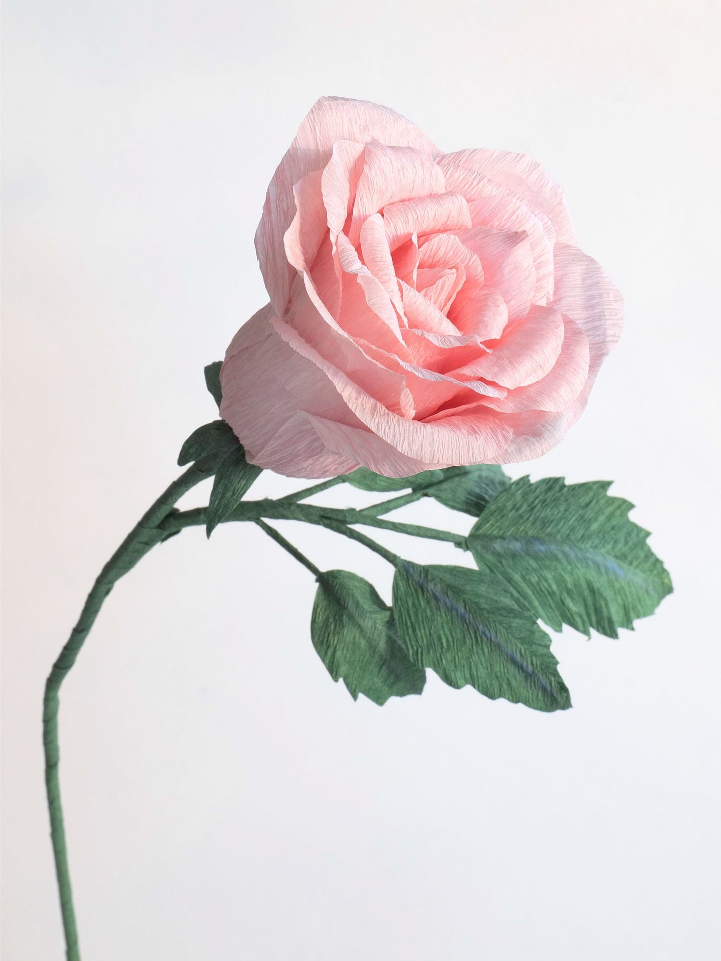 Classic Rose | Paper Flower Stem