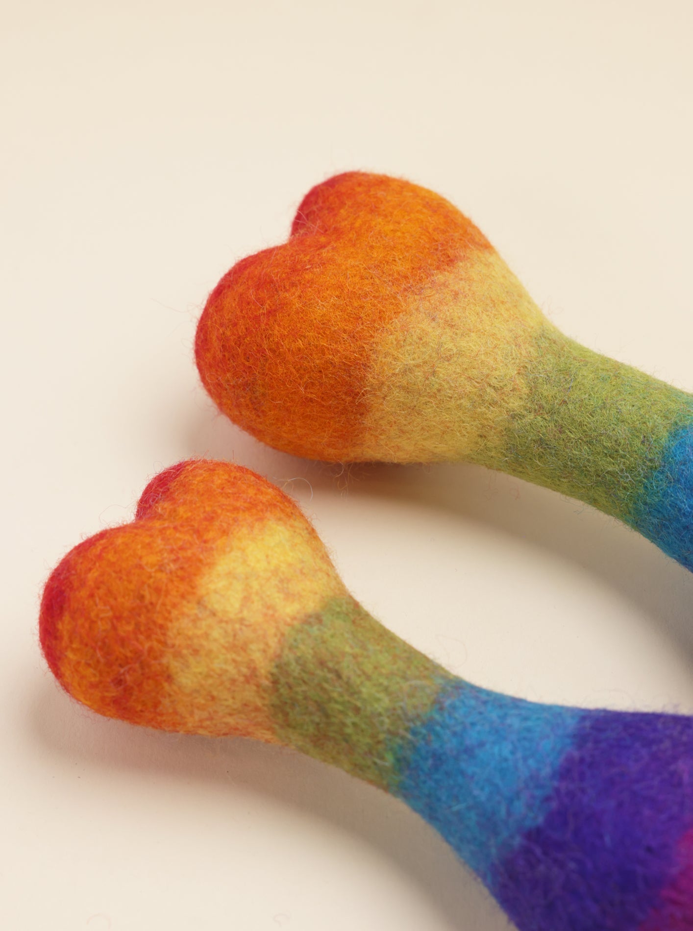 RAINBOW WOOLBONE DOG TOY
