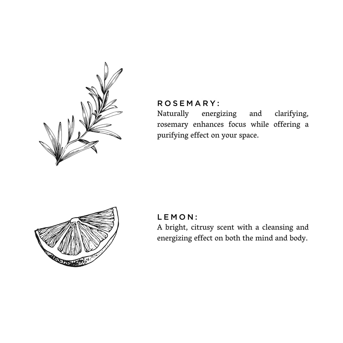 Rosemary + Lemon Travel Tin Candle