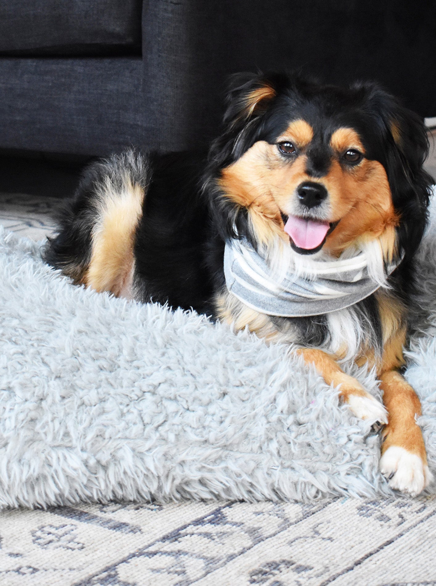 MB SNOOD