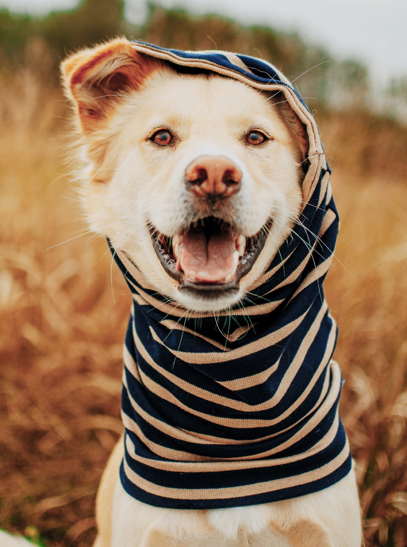 MB SNOOD