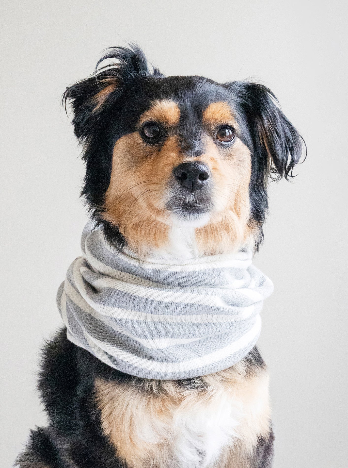 MB SNOOD