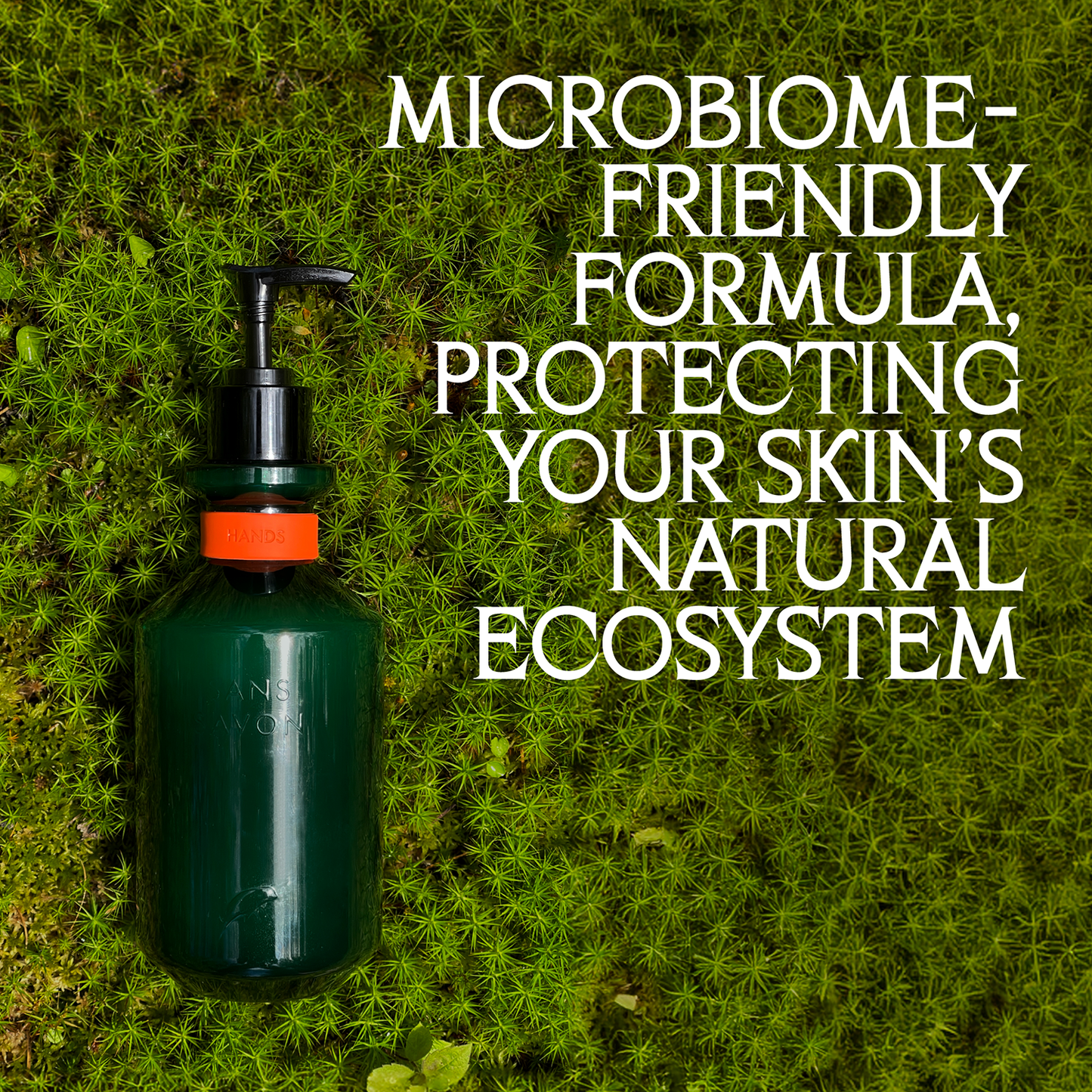 Starter Set Charlevoix Boreal Forest Blend