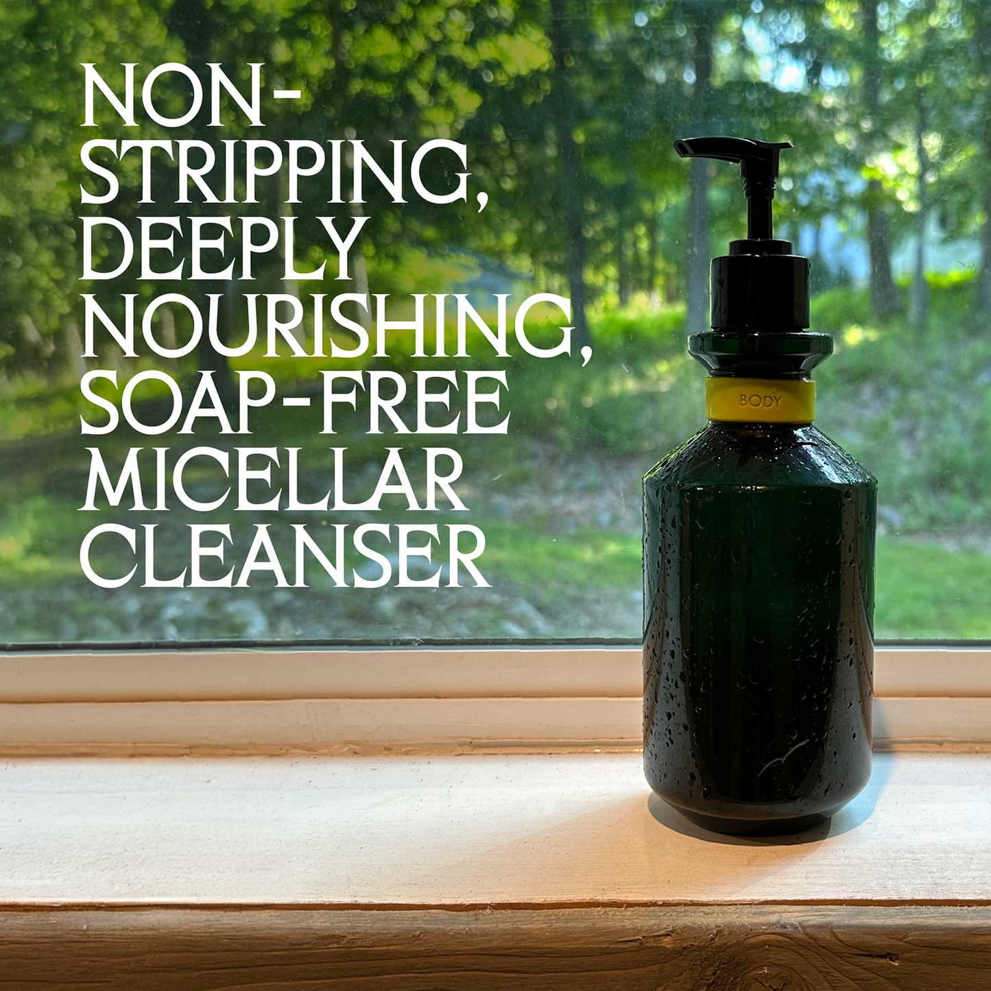 Starter Set Charlevoix Boreal Forest Blend