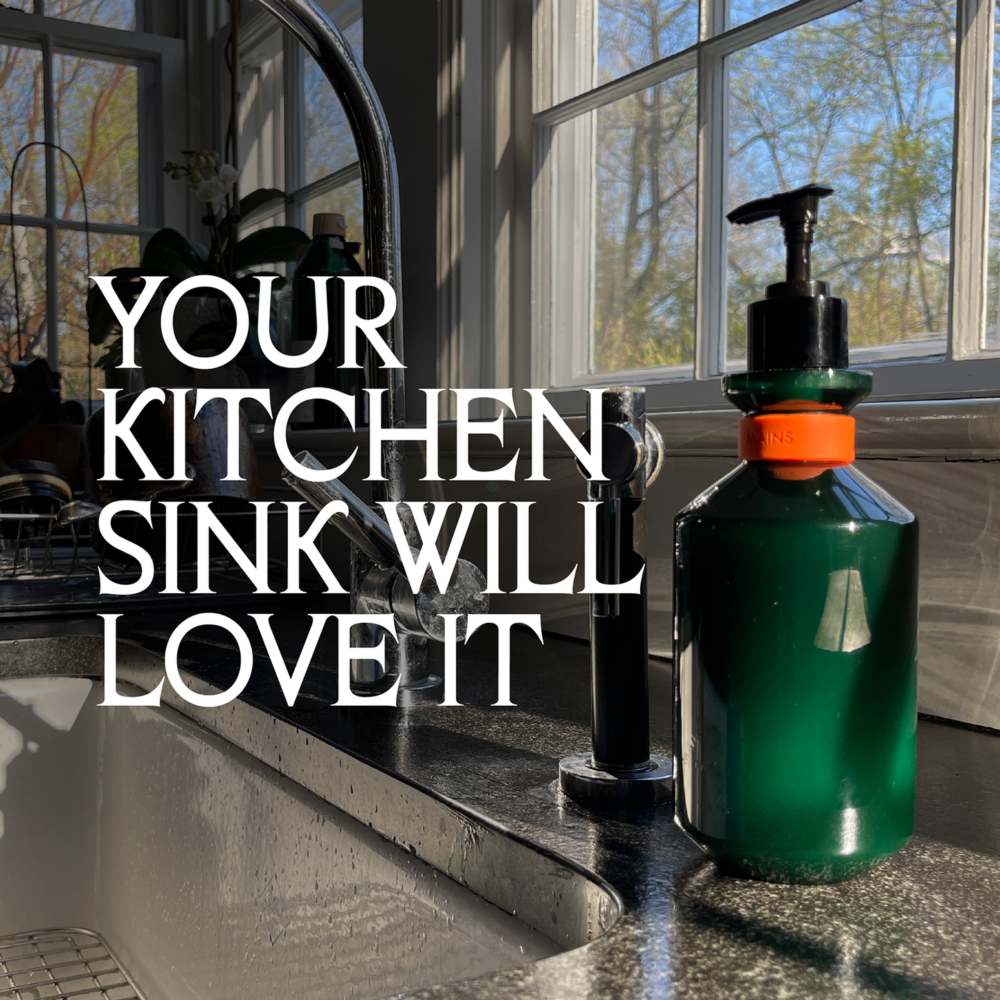 Starter Set Charlevoix Boreal Forest Blend