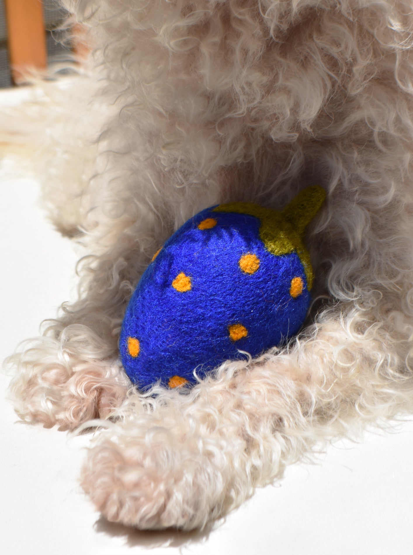 BLUE STRAWBERRY WOOL DOG TOY
