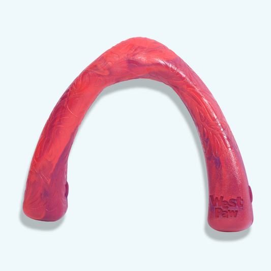 Snorkl Dog Toy