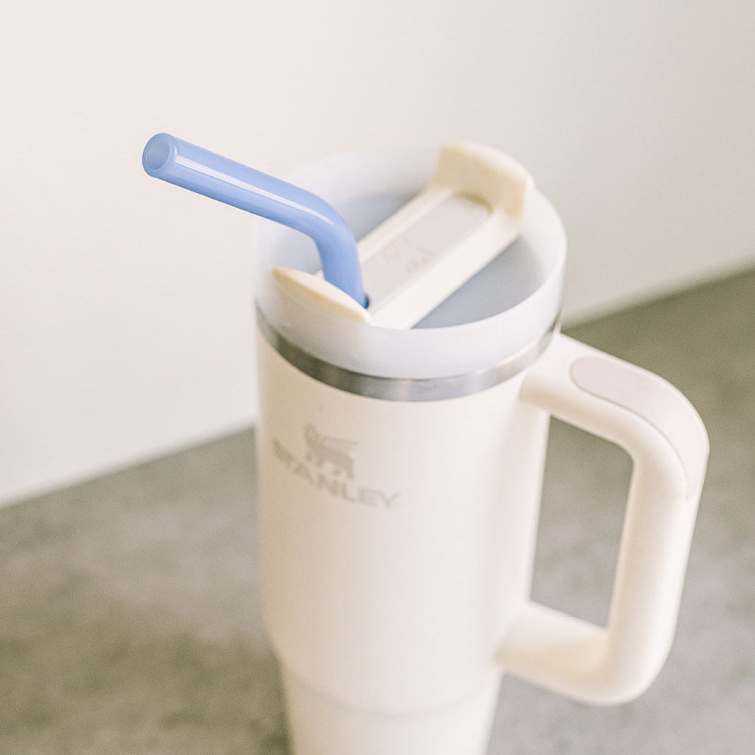 Tumbler 12" Glass Straw Set for Stanley, YETI & Owala - Fjord Mist