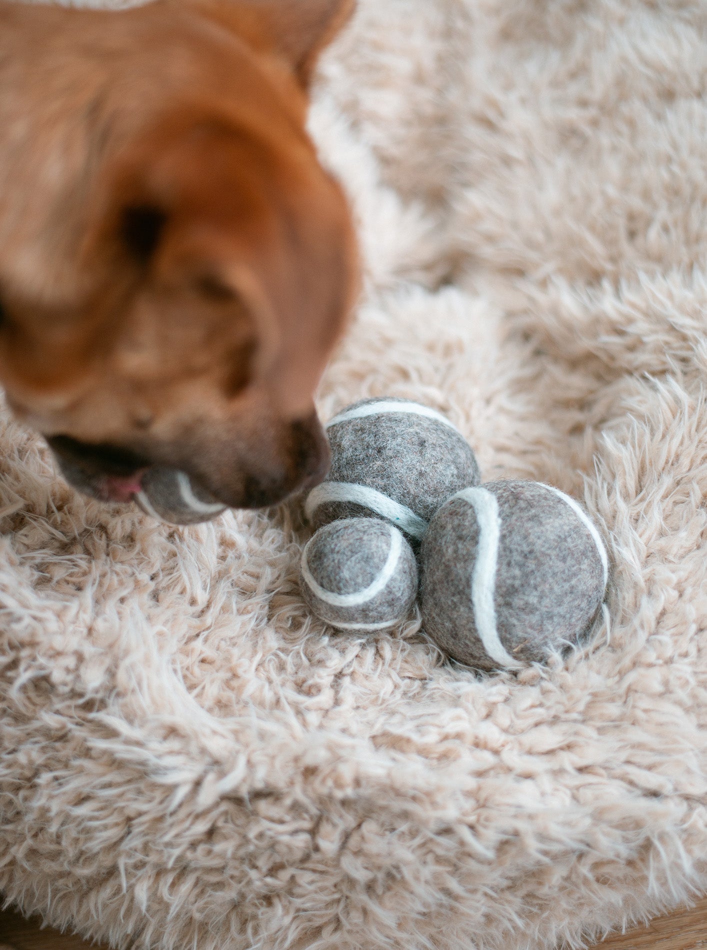 TENNIS BALL WOOL DOG TOY