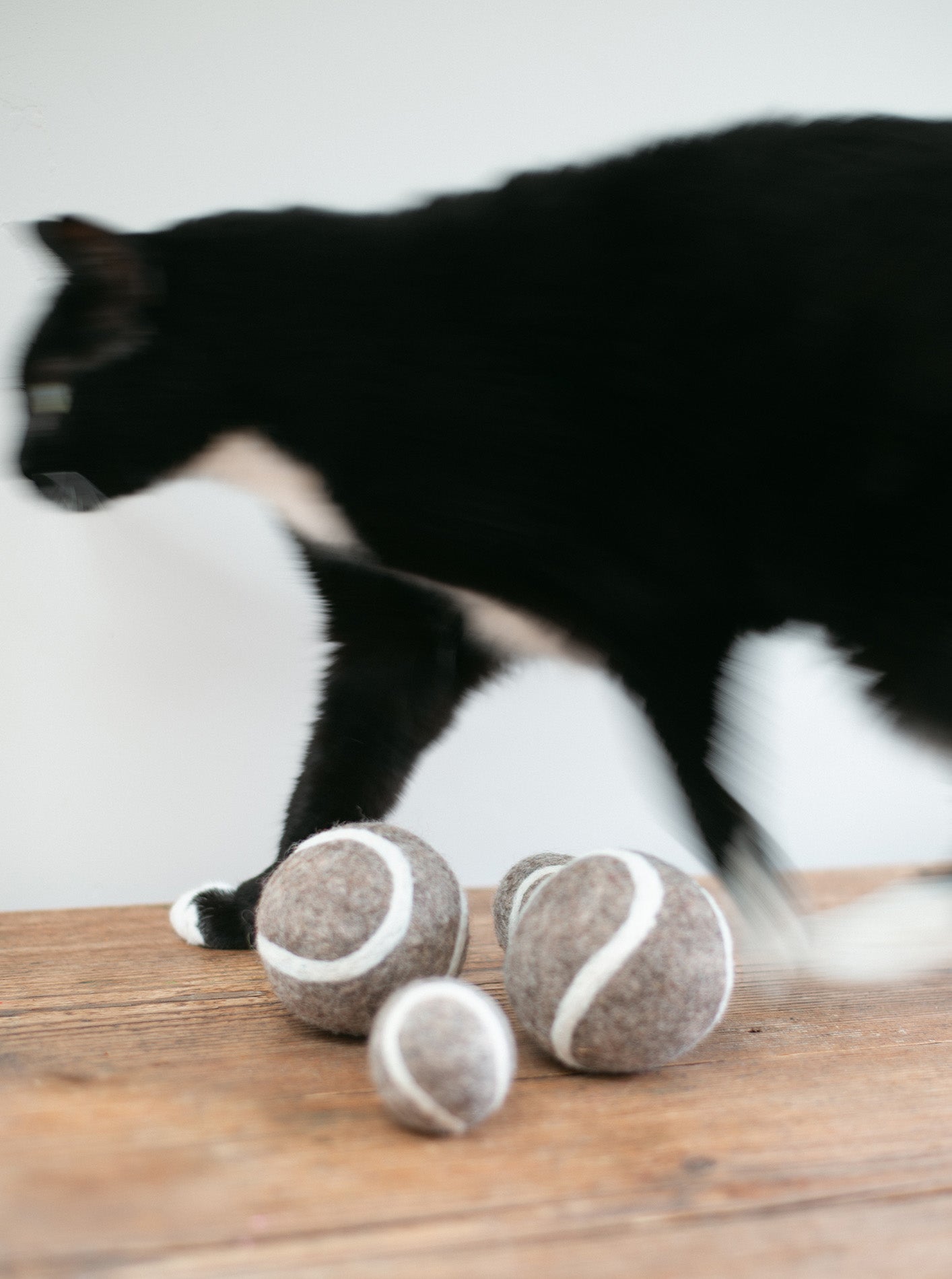 TENNIS BALL WOOL DOG TOY