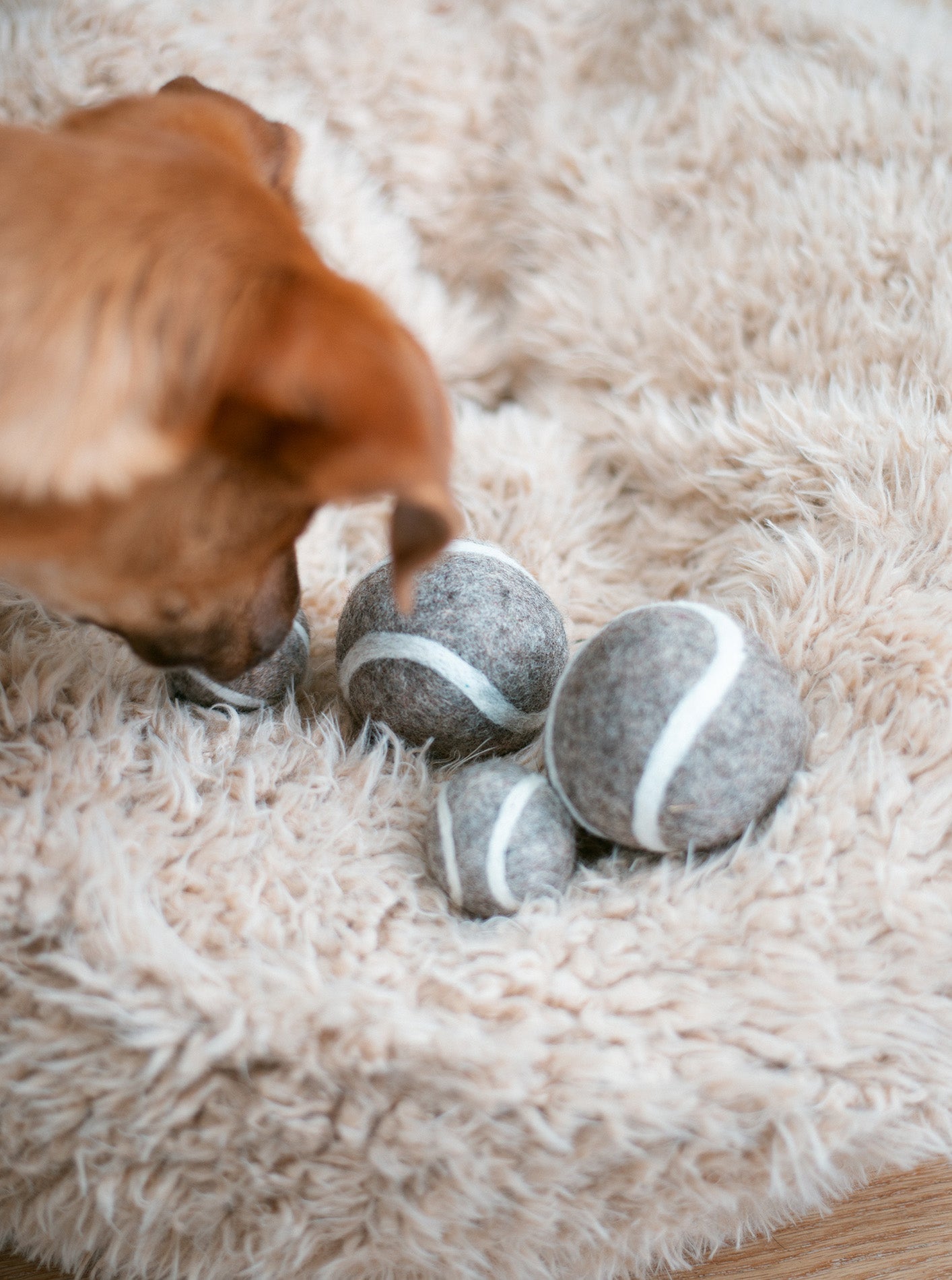 TENNIS BALL WOOL DOG TOY