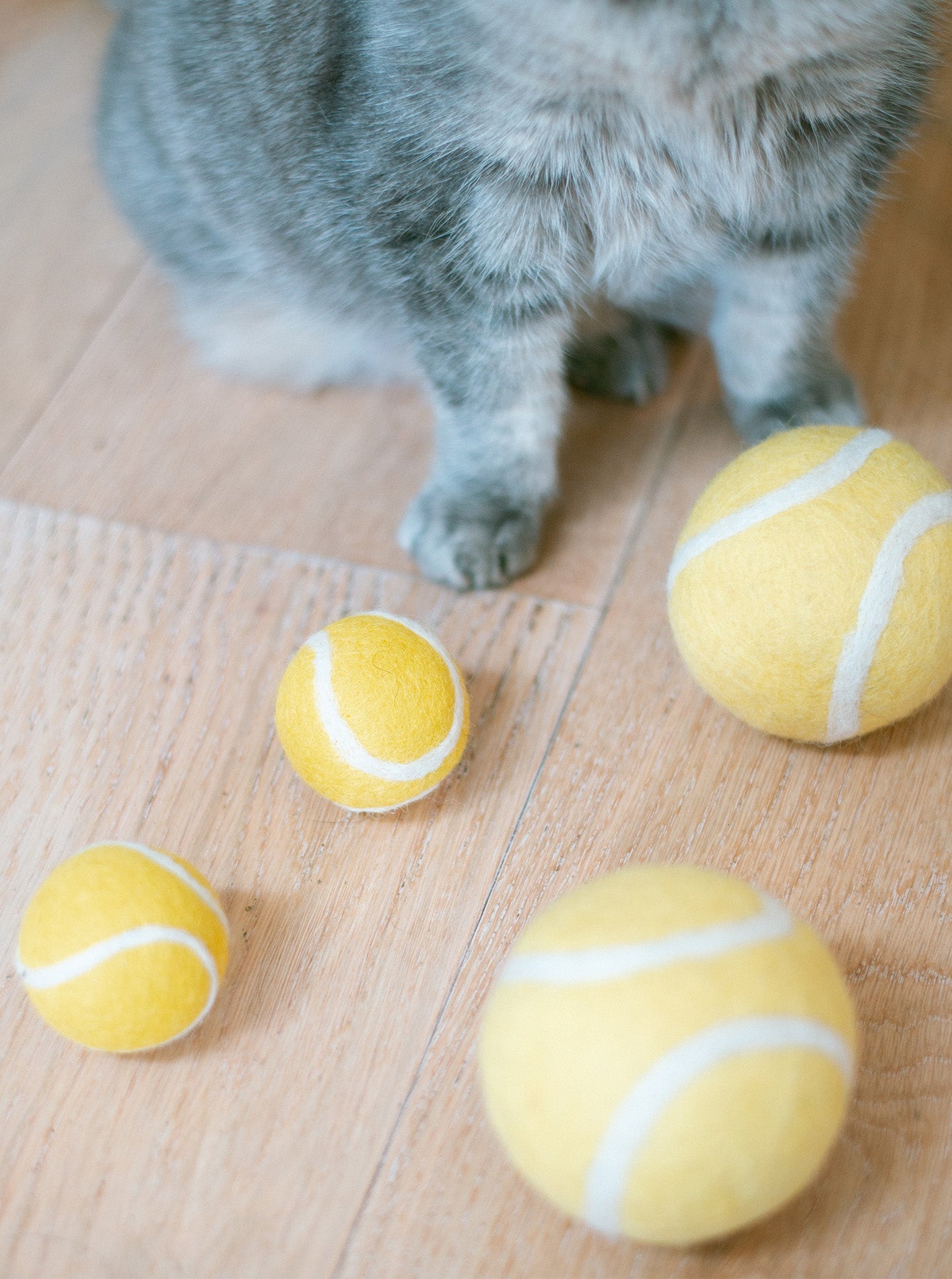 TENNIS BALL WOOL CAT TOY