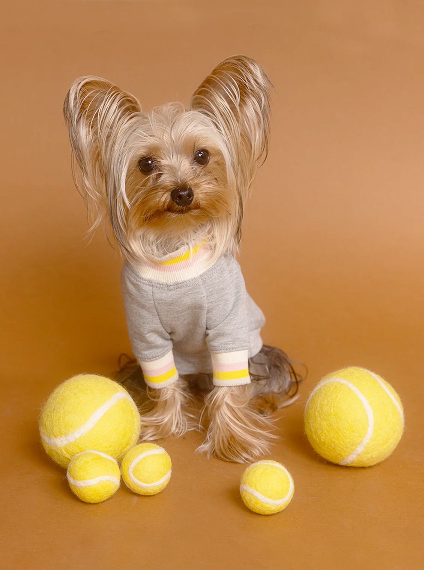 TENNIS BALL WOOL DOG TOY