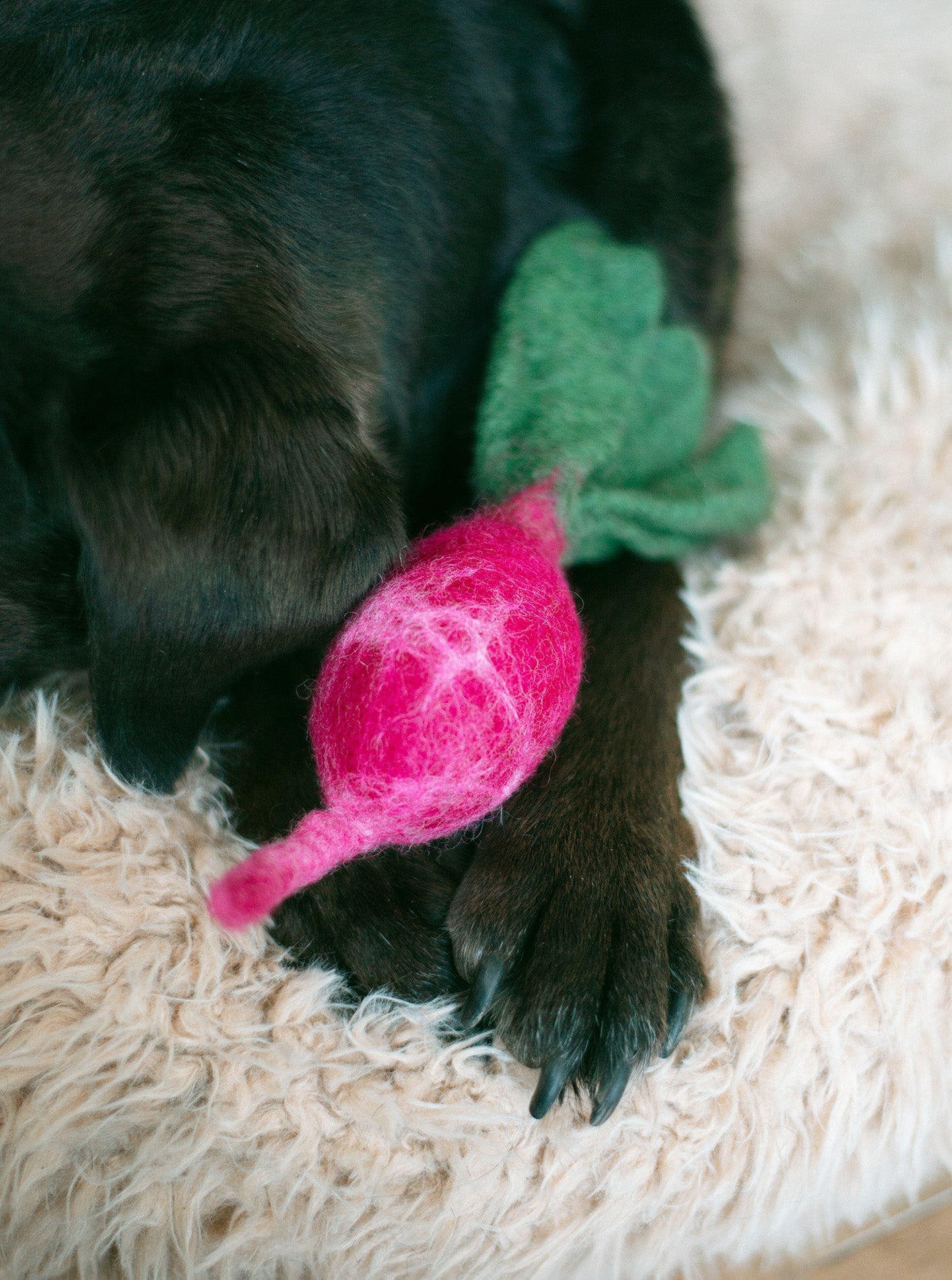 TURNIP WOOL DOG & CAT TOY