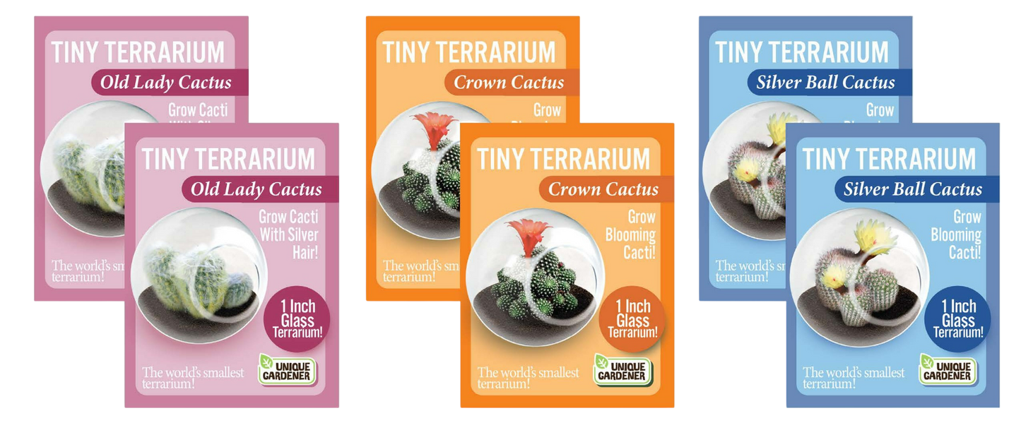 Flowering Cacti Tiny Terrariums Bundle - 2 each of 3 Varieties
