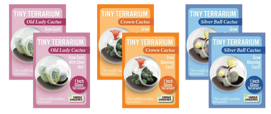 Flowering Cacti Tiny Terrariums Bundle - 2 each of 3 Varieties