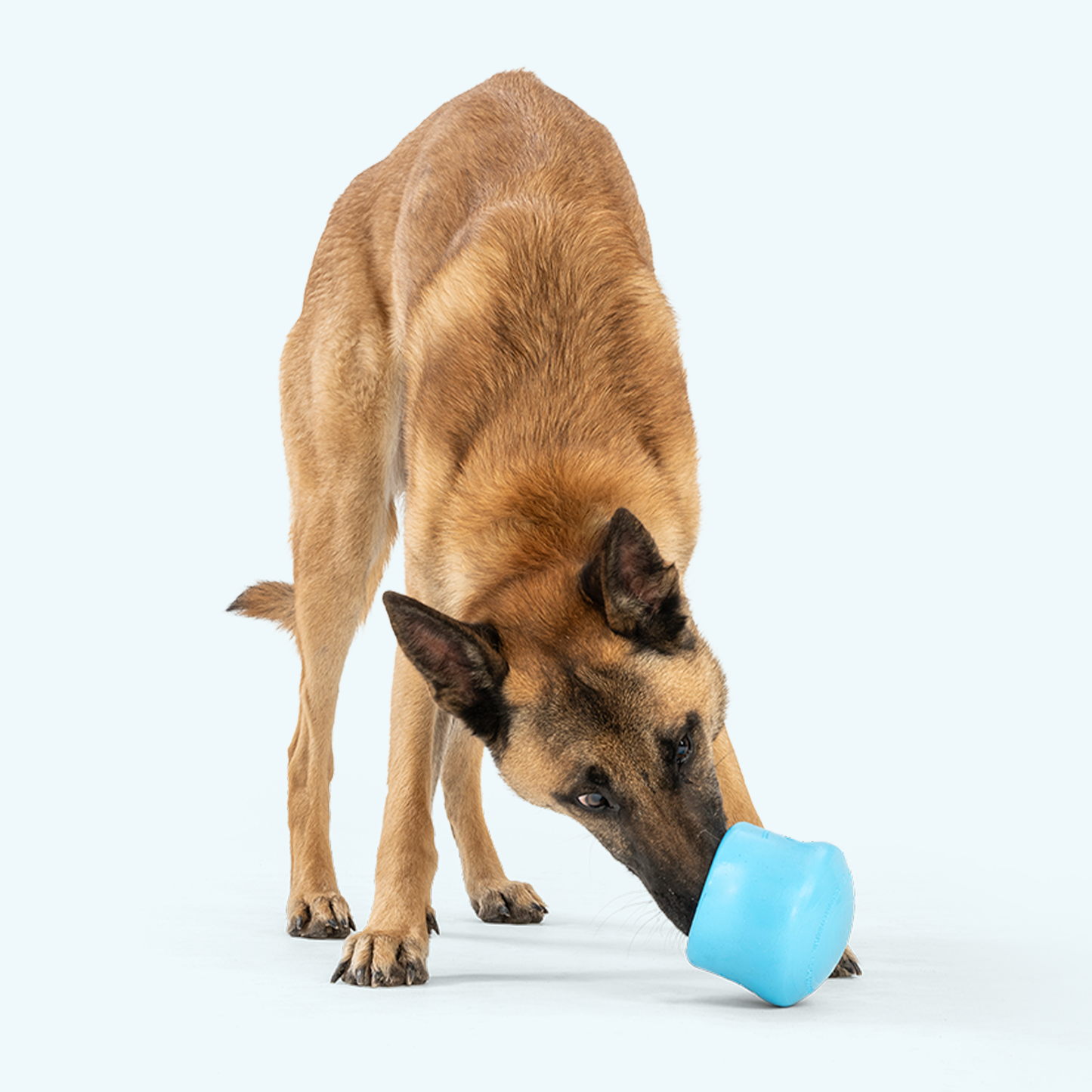 Toppl Dog Toy