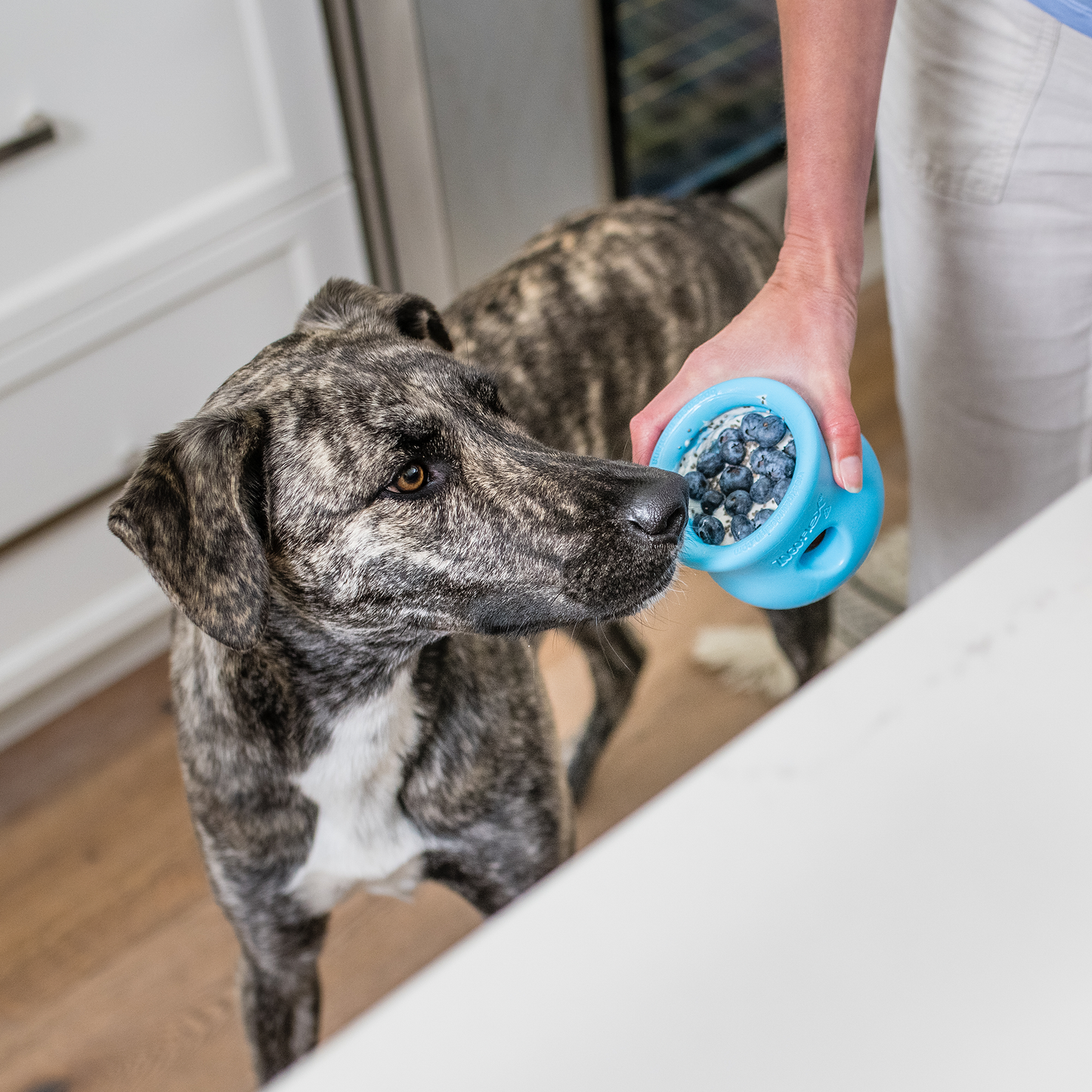 Toppl Dog Toy