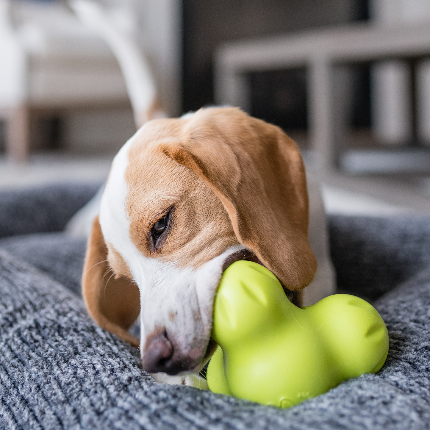 Tux Dog Toy