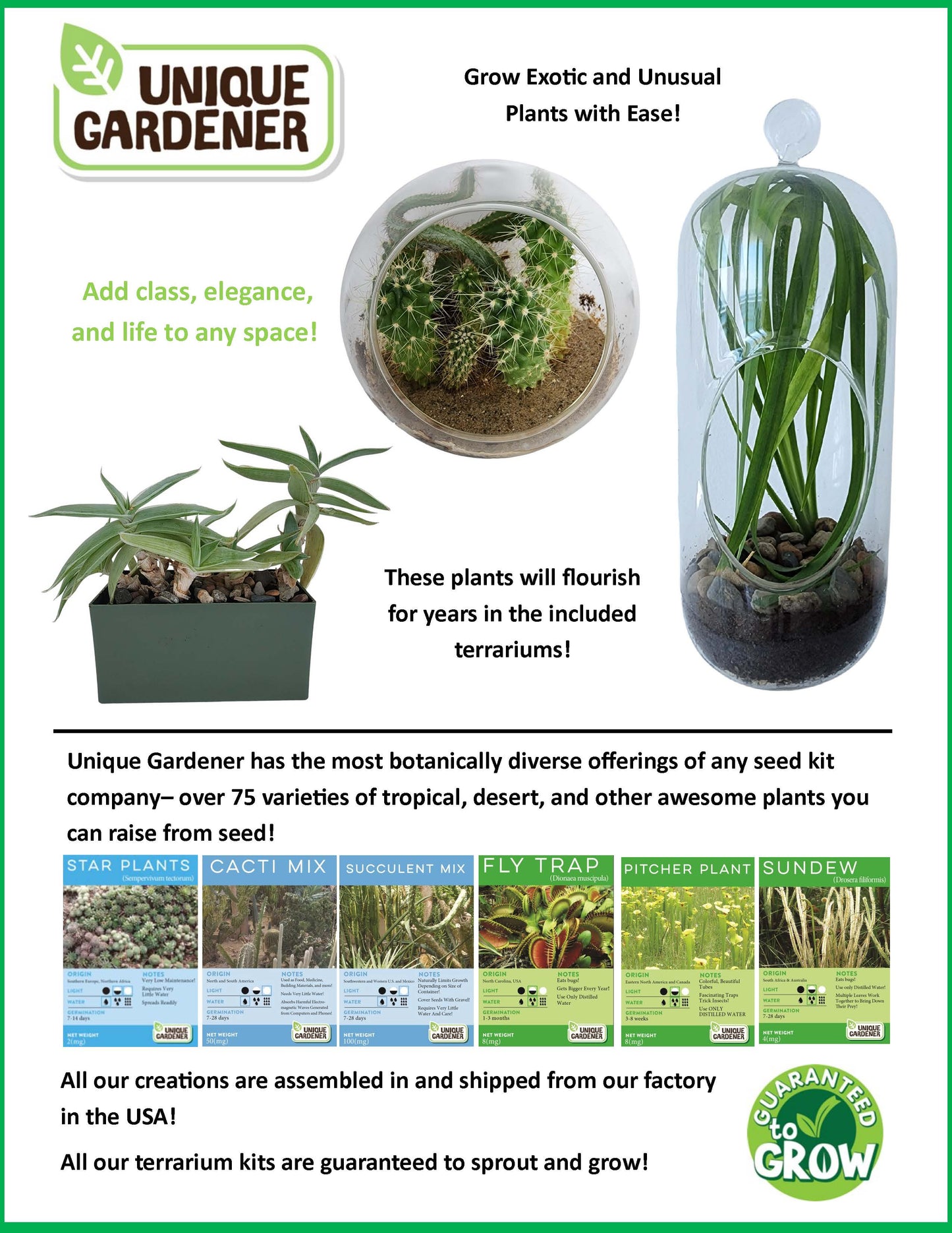 The Desert Mouse Garden Glass Terrarium with Cork