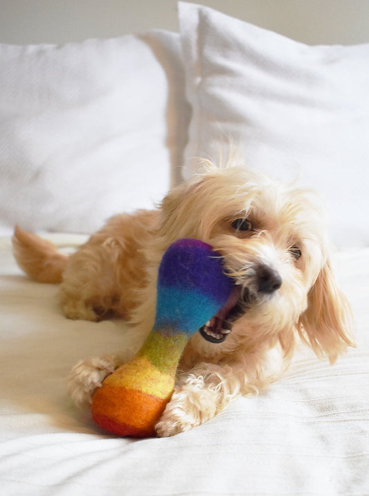 RAINBOW WOOLBONE DOG TOY