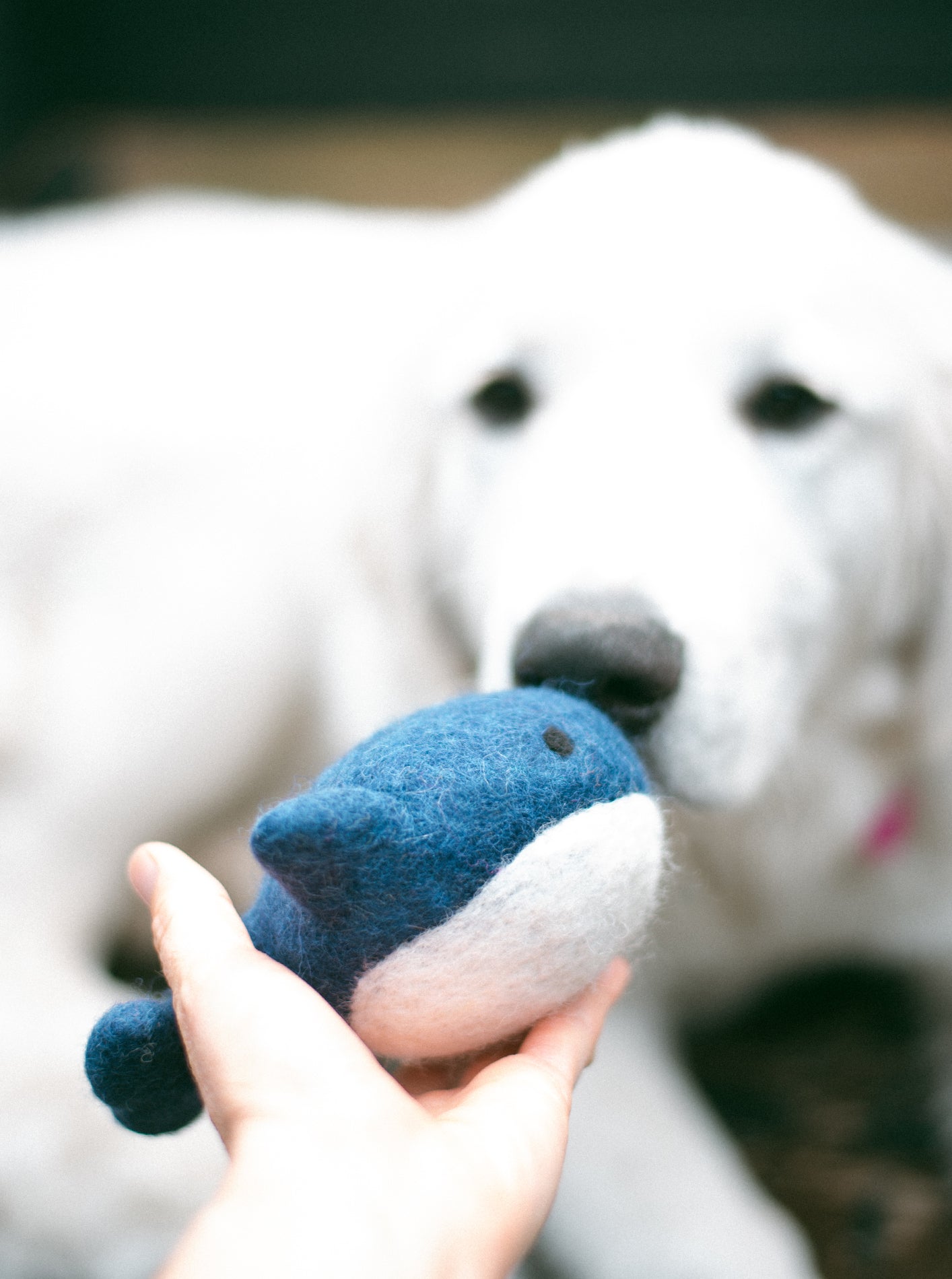 WHALE WOOL DOG TOY