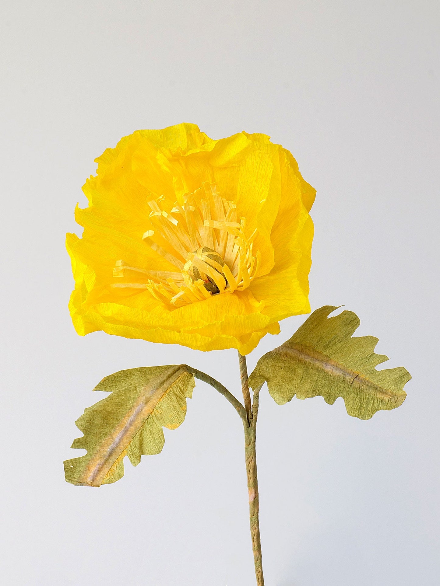 Icelandic Poppy Single Stem | Handcrafted Paper Flower