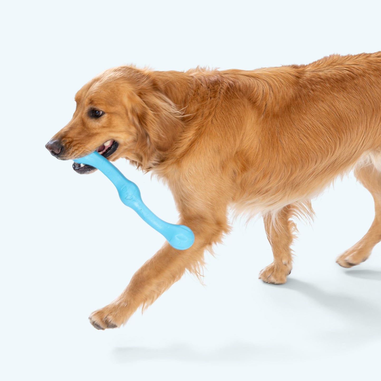 Zwig Dog Toy