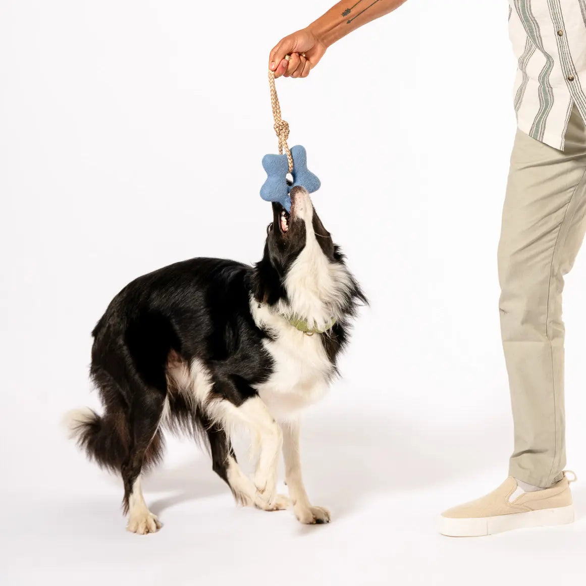 Comet's Tail Felt Wool Toy