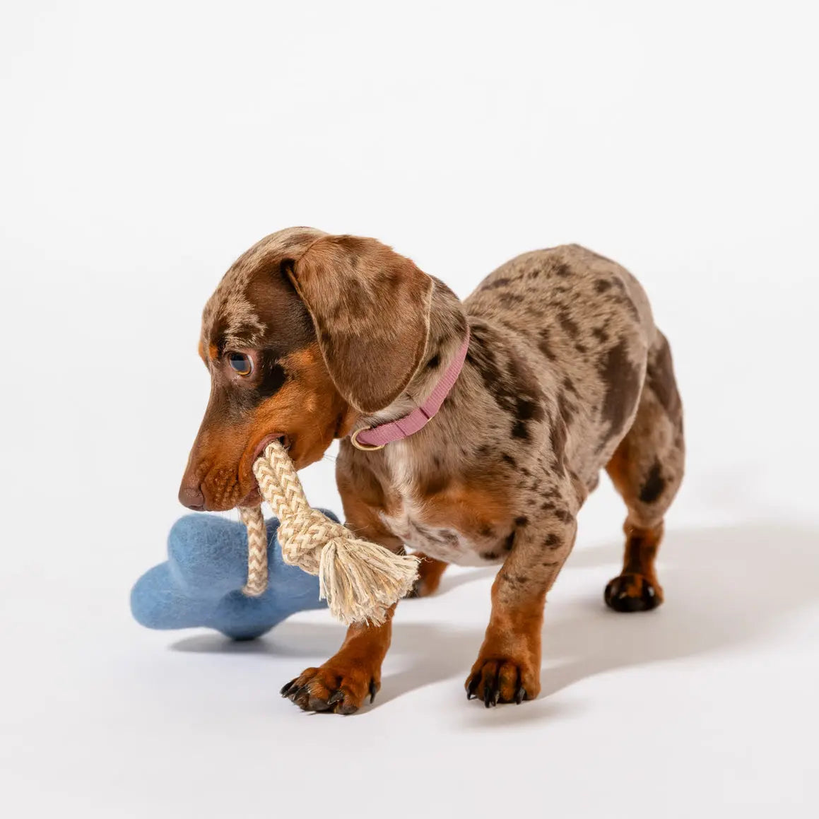 Comet's Tail Felt Wool Toy