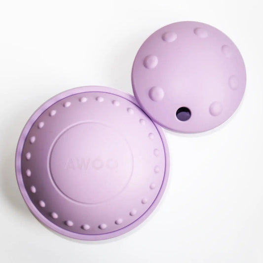 Flying Saucer Puzzle Toy