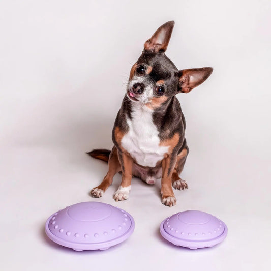 Flying Saucer Puzzle Toy