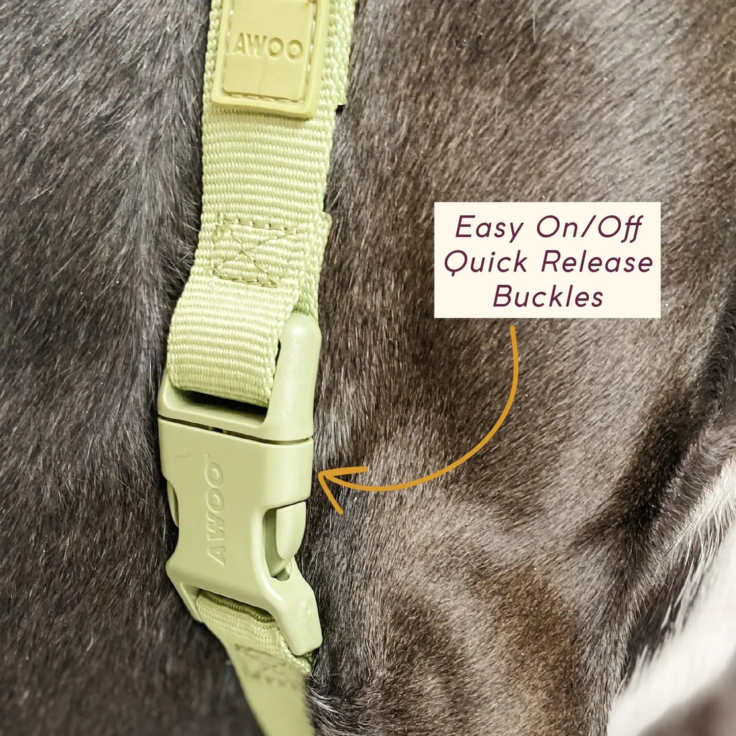 Roam Harness - Last Chance
