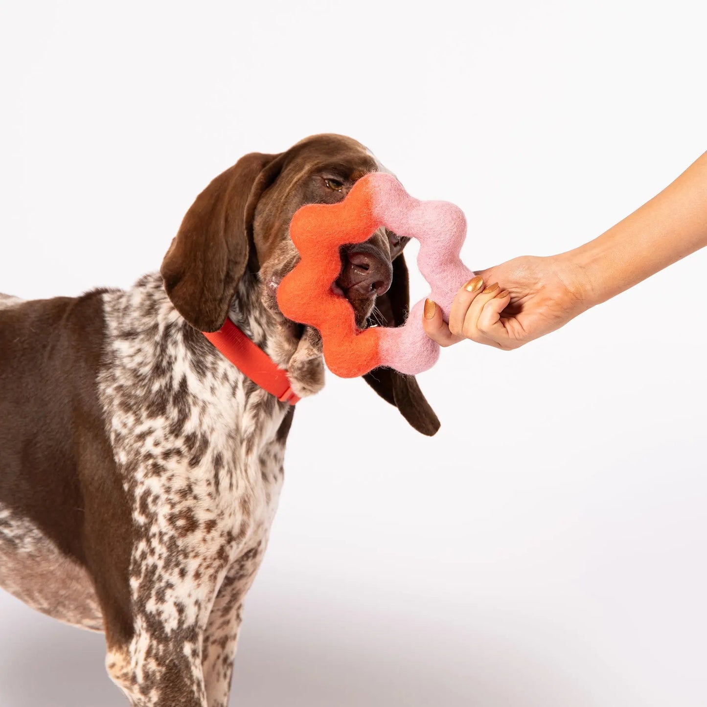 Wiggle Ring Felt Wool Toy