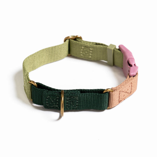 Marty Collar