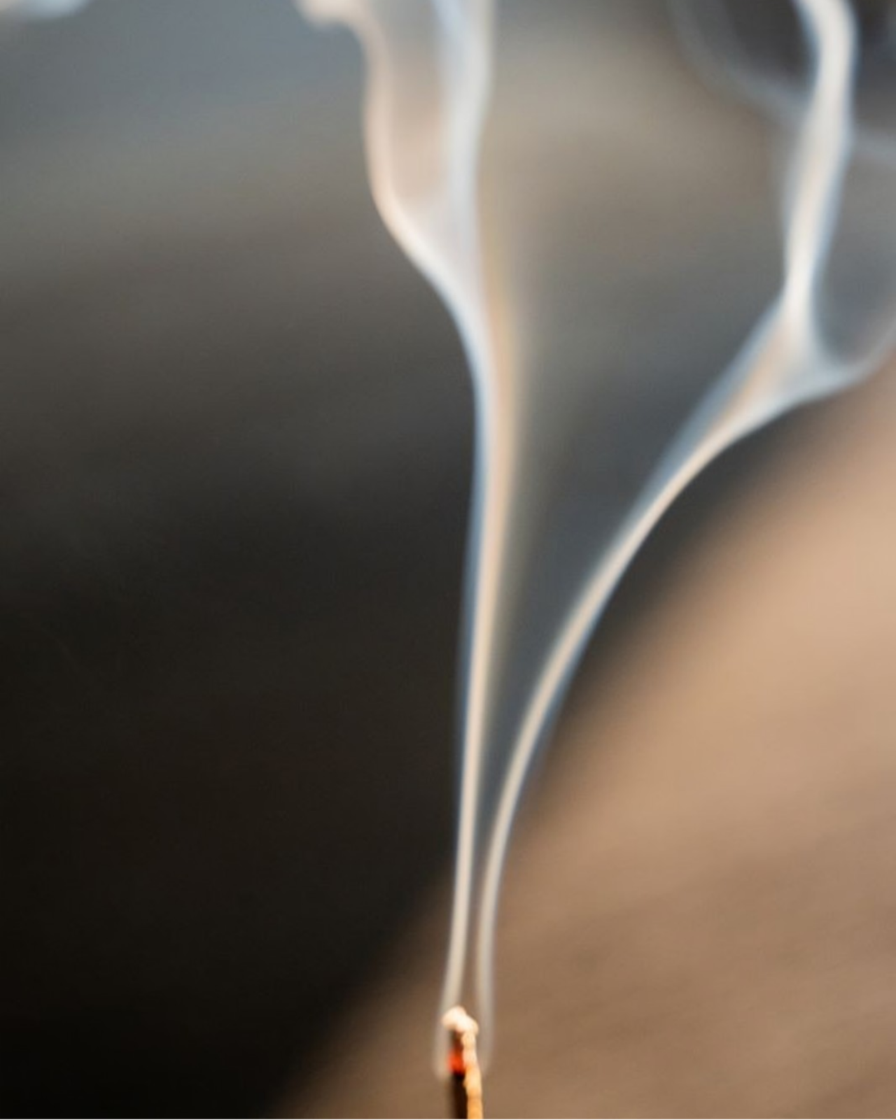 California Juniper Campfire Incense (20 Sticks)