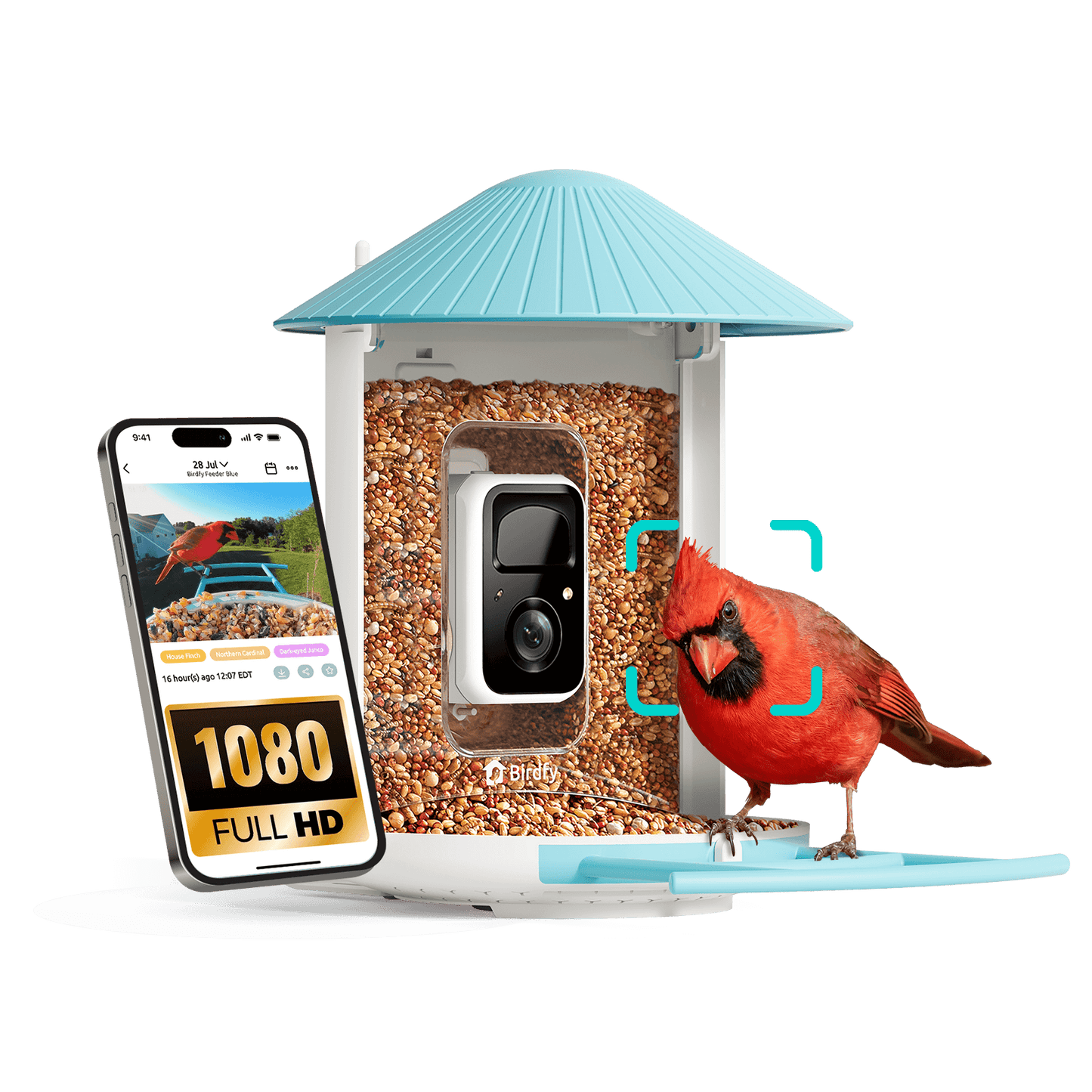 Birdfy Feeder - AI-Powered Smart Bird Feeder with Camera