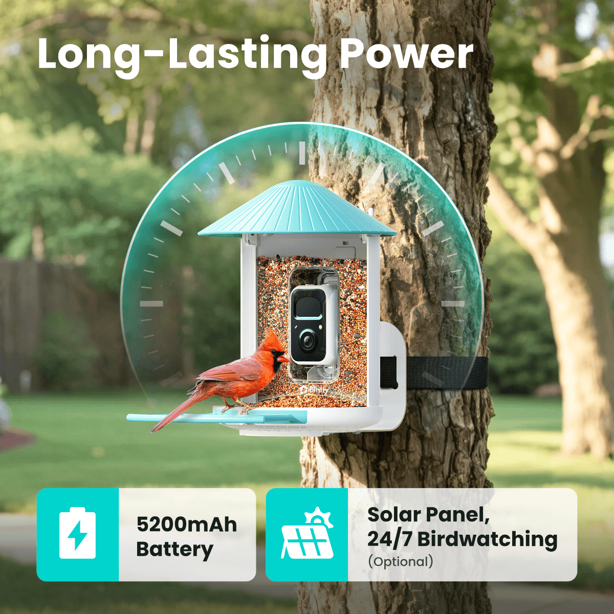 Birdfy Feeder with Solar Panel - Solar-Powered Smart Bird Feeder with Camera