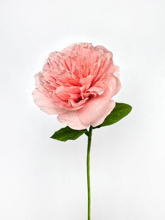 Carnation Single Stem | Handcrafted Paper Flower