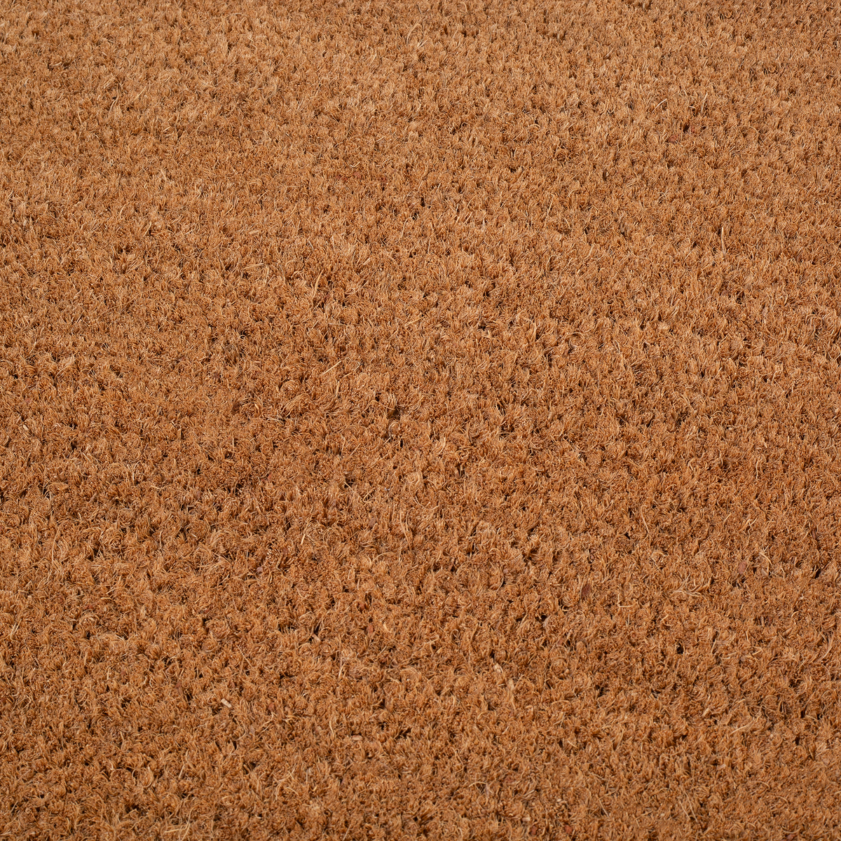 Double Black Border Coir Doormat