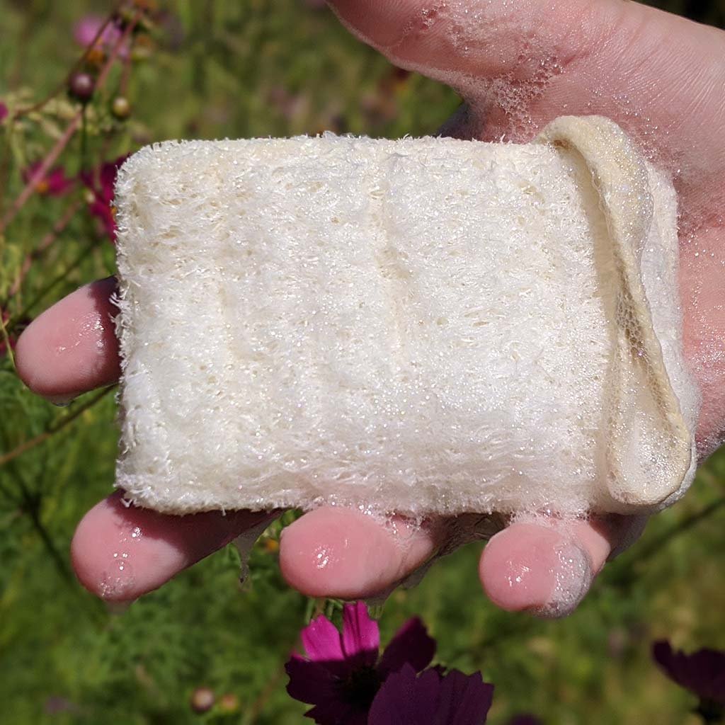 Eco Dish Washing Scrubbers 3 Pack