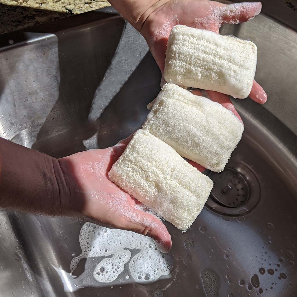 Eco Dish Washing Scrubbers 3 Pack